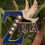 Thumbnail: Zeta Dove Lapel Pin