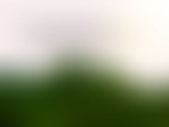 祝 佐渡島の金山 ユネスコ世界文化遺産登録決定!