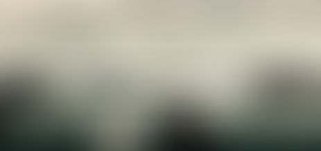 Absorbing the summer...