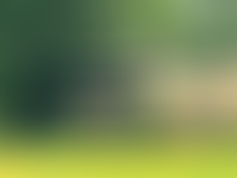 Our beautiful home for this weekend!