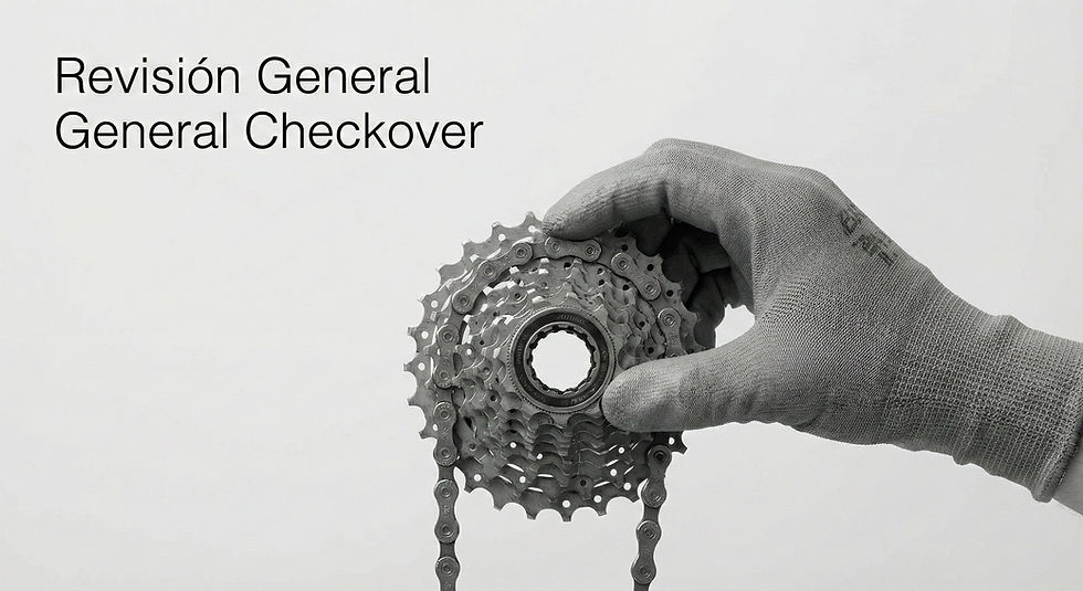 General Checkover (Revisión General)
