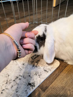 240803249_450208026027219_9176685801268553962_n