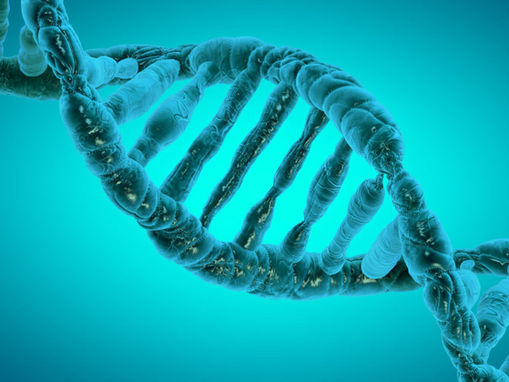 Epigenetics: How Your Daily Choices Shape Your Genetic Destiny