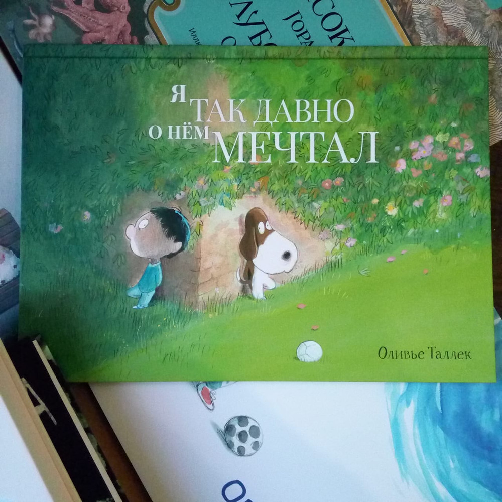 Новые поступления детских книг издательство Поляндрия Маленькая Мечта Красноярск