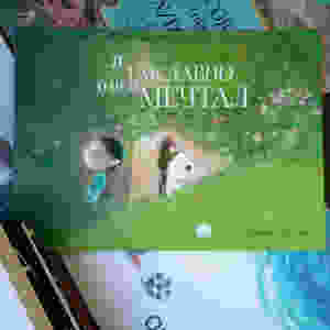 Новые поступления детских книг издательство Поляндрия Маленькая Мечта Красноярск