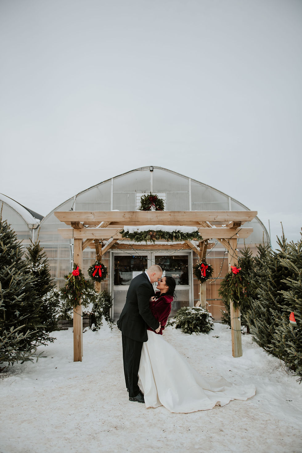 A Romantic, Christmassy, Greenhouse Elopement