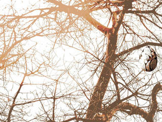 MASHIRIPITI – a collaborative exhibition by Nicky Elliott Photography and Avoova