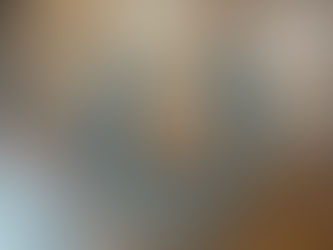 One Shoe Short -“What happens when a horse loses a shoe?”