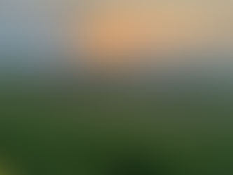 Why I will Never Stop Learning Horses