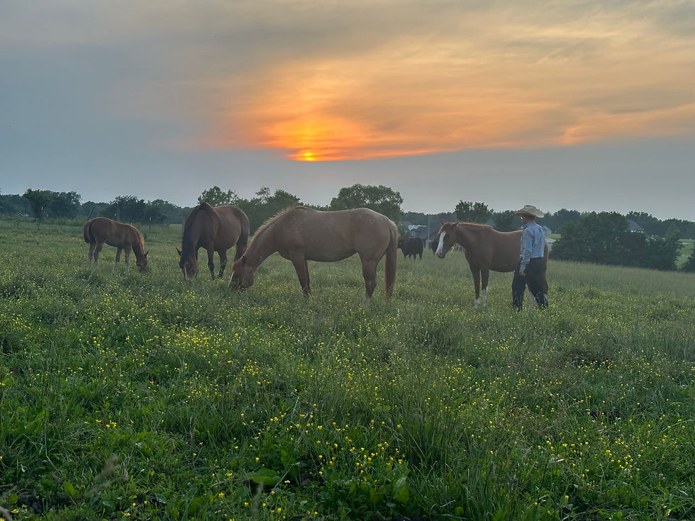 Horse-man-ship Mentality Dennis Cappel