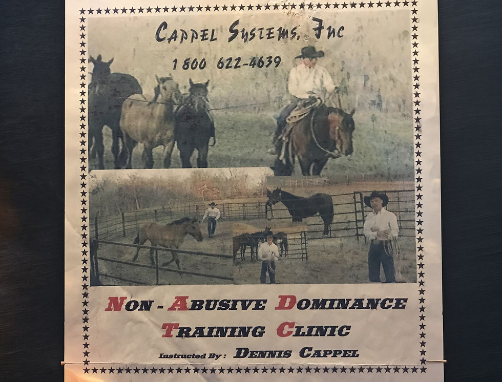 Horse-man-ship Mentality Dennis Cappel