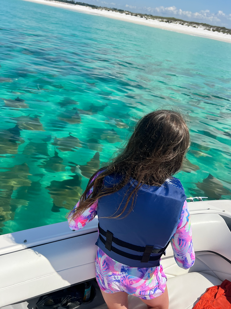 Girl watching stingrays of St. Andrews Bay from a boat