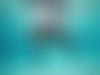 Swimming with Dolphins Florida Tips: How to Swim with Wild Dolphins in Florida