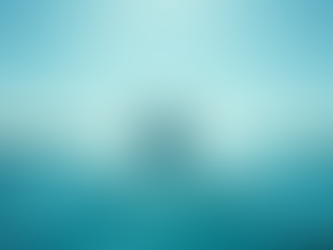 Florida Dolphin Tours Guide: Top Dolphin Tours Across Florida