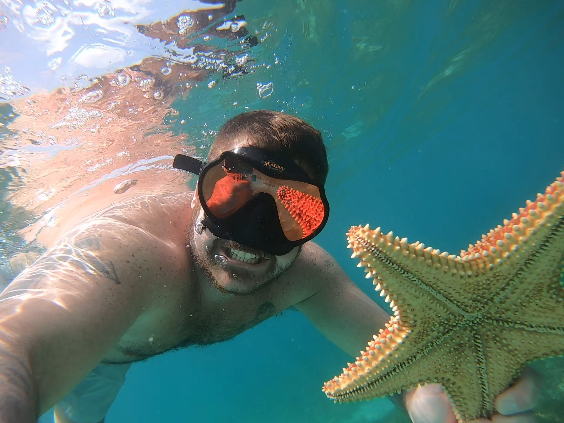 Writer: PCB Prestige