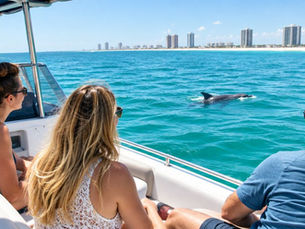 Small Group Boat Tours Panama City Beach: Best 2026 Pick
