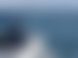 Dolphins observed from a respectful distance