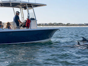 Family observing dolphins from private charter boat