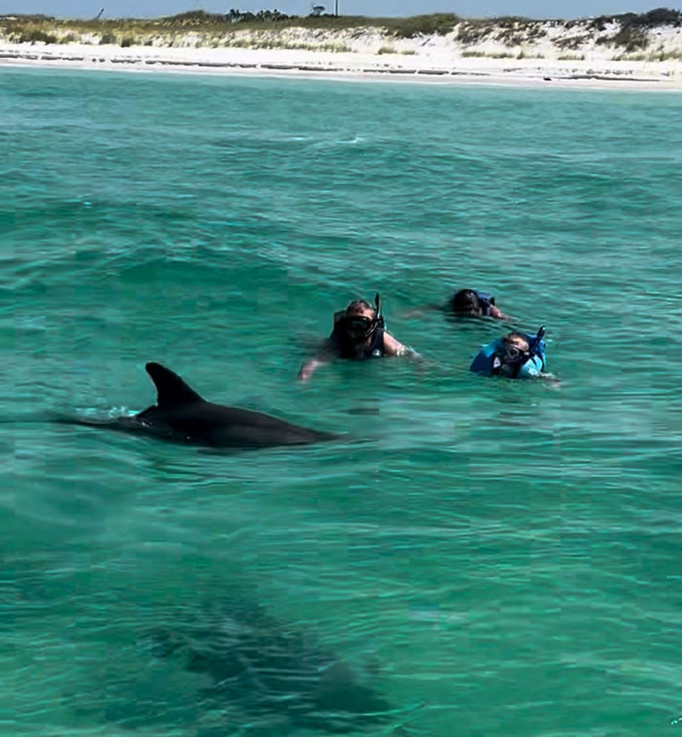 Dolphin tours & Shell Island snorkeling Panama City Beach