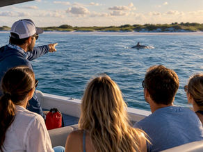 Captain guiding guests toward distant dolphins
