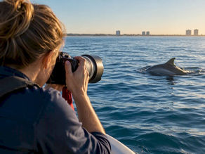 Photographer tracking surfacing dolphin