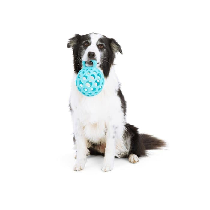 Thumbnail: Leaps & Bounds by Petco Cage Ball with Handle Dog Toy Medium