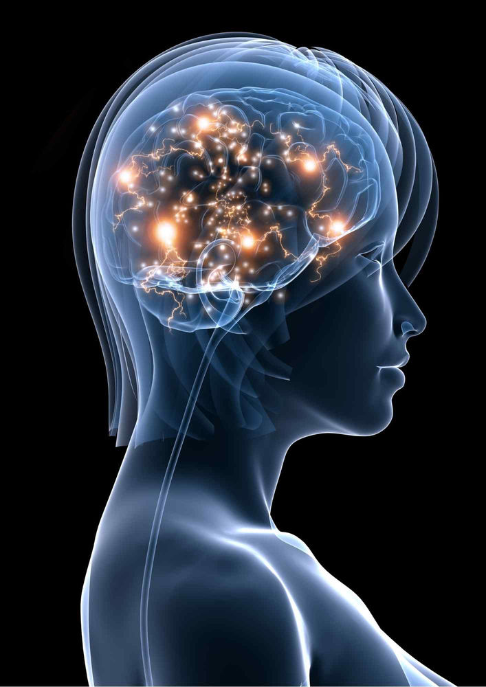 OMEGA 3s in Human Brain What are they? Why are they important? How