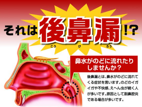 後鼻漏のお話