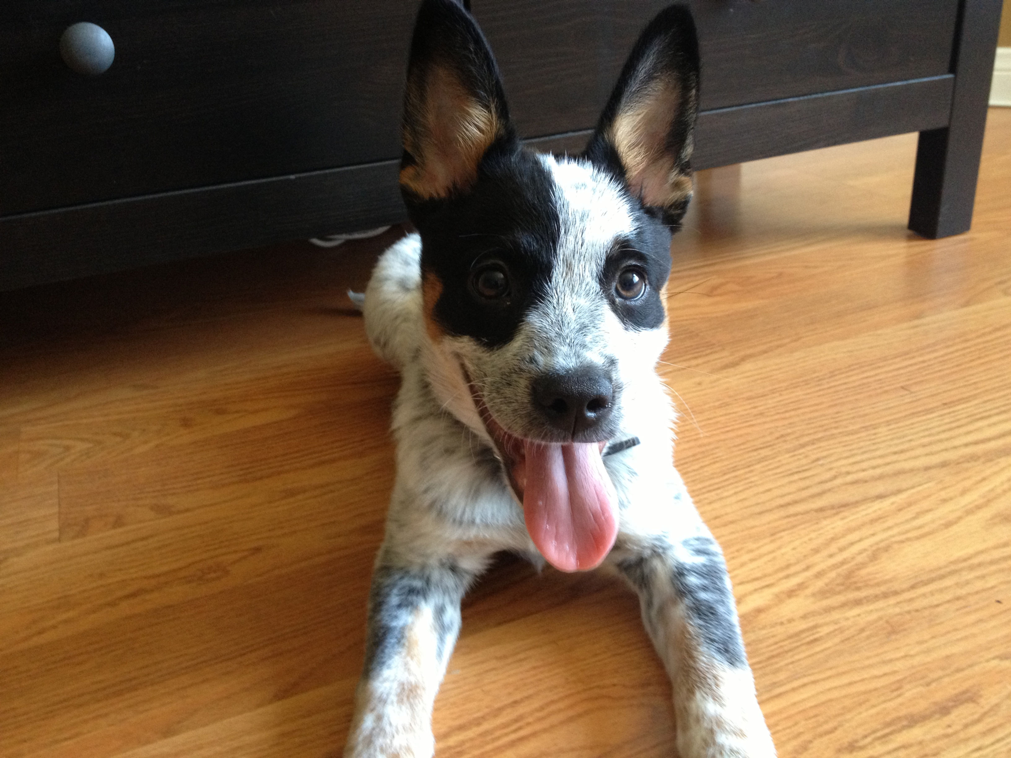 Single Private Lesson