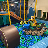 IMG_5580.jpeg