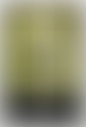 Unearthing the Tension: A Deep Dive into Walter Hill’s "Southern Comfort"