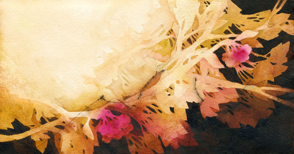 "Morning Blossoms" – Limited Edition