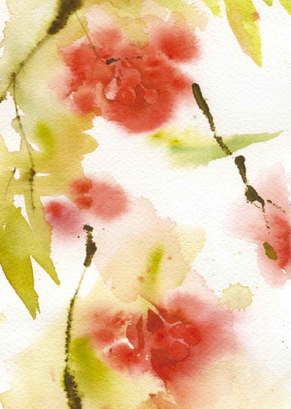 Thumbnail: Wholesale Greeting Cards – Botanical