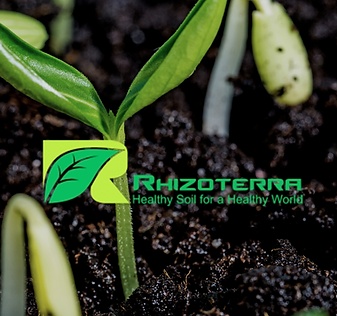 Hi-res-Rhizoterra-Logo-seedling background-2022 (3000 × 3000 px).png