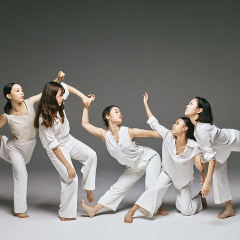 Photography / Videography