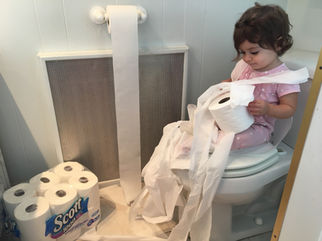 The REAL TRUTH about Toilet Paper