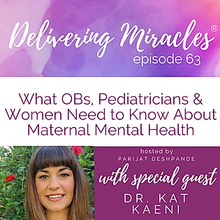 Can Mental Illness Be Prevented In Womb >> 063 What Obs Medical Providers And Postpartum Women Need To Know Can Mental Illness Be Prevented In Womb >> 063 What Obs Medical Providers And Postpartum Women Need To Know