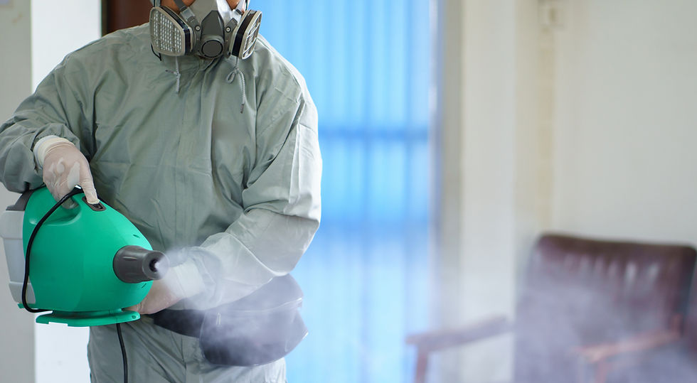 Mould Wizards technician using misting and HEPA vacuum for mould treatment