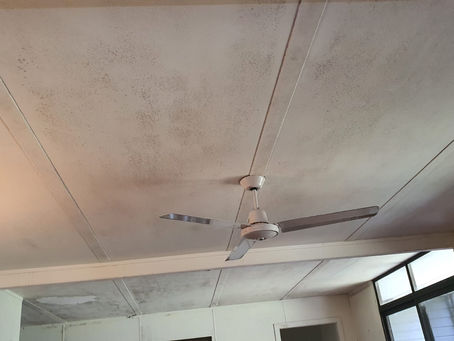 Why Does Mould Keep Coming Back After Cleaning? (And How Professionals Fix It)