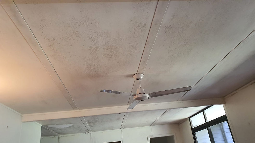 Why Does Mould Keep Coming Back After Cleaning? (And How Professionals Fix It)