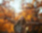 Cropped Autumn Woman.jpg