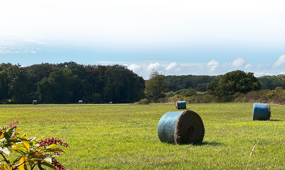 WEBSITE_HAYBALES FRNT_edited.jpg