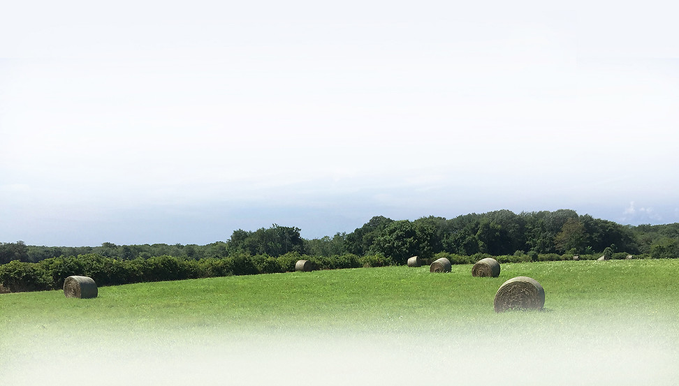 BALES_FADE_SS_150.jpg