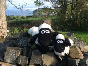Enjoying the Vi’ewe’!