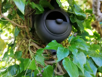 New Wildlife Accommodations @ BallyCairn!