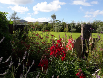 Beautiful Balmy Summer’s Eve At BallyCairn House