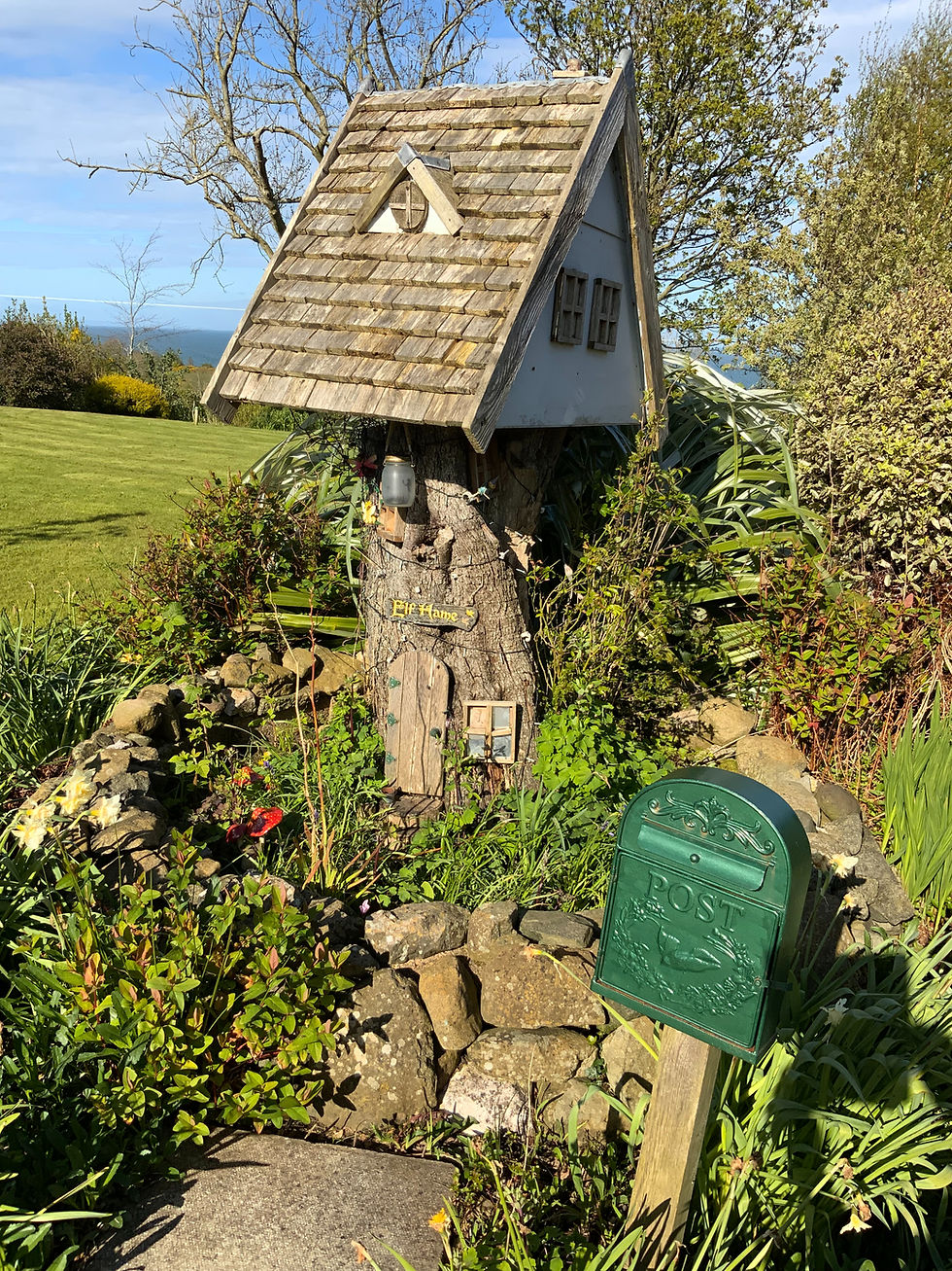 The Elf Hame fairy house built around an ancient Hawthorn tree stump in the garden at BallyCairn House B&B