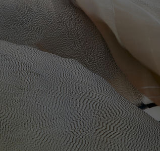 11062b_fd5c21cdc57f4b19b00f8ec0988396fe_