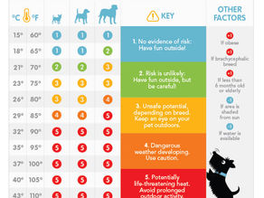 Help keep your dog safe: Use this easy to follow temperature guide!