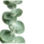 Evergreen, ever mindful
